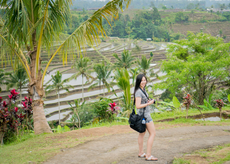 nomadic lifestyle - bali rice fields