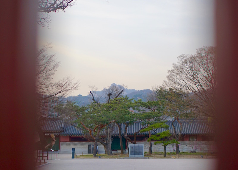 Places To Visit In Seoul - changdeokgung palace