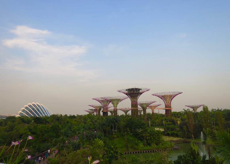 best things to do in Singapore - gardens by the bay