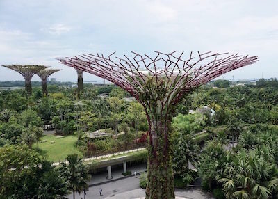 best things to do in Singapore - gardens by the bay