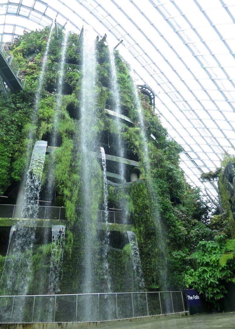 best things to do in Singapore - cloud forest