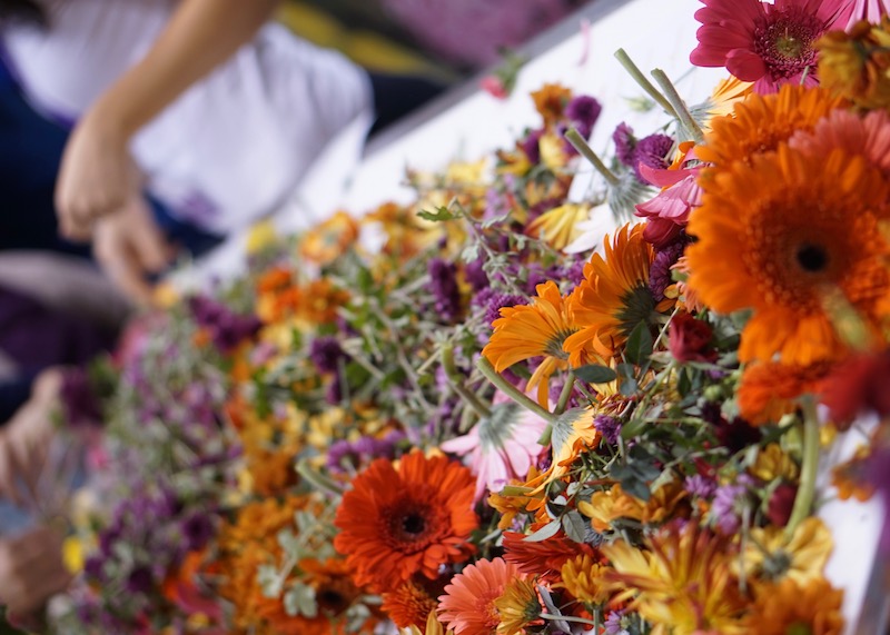 Why The National Women’s Show Is Amazing | Are you from Toronto and you're looking for things to do in the GTA? Click to read more about the annual Women's Show, which is held nationally in Canada. This highly anticipated event will give you ideas for events to attend in Canada