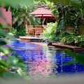 Sheraton Grande Sukhumvit, A Blissful Stay In Bangkok | Are you looking for a luxury stay in the heart of Bangkok? Read more about this beautiful hotel with a fabulous pool. It's like staying on a resort in the heart of Bangkok