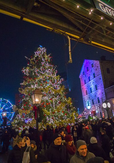Toronto distillery district Christmas market - tree