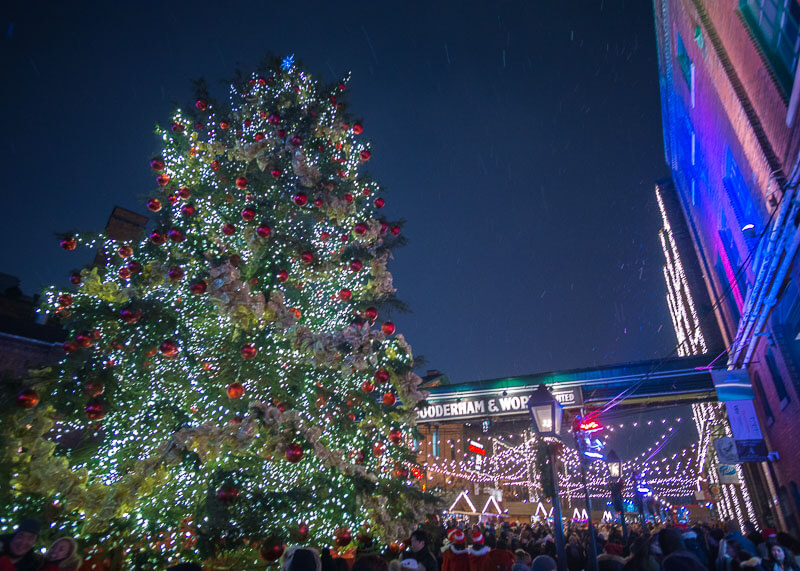 Toronto distillery district Christmas market - tree