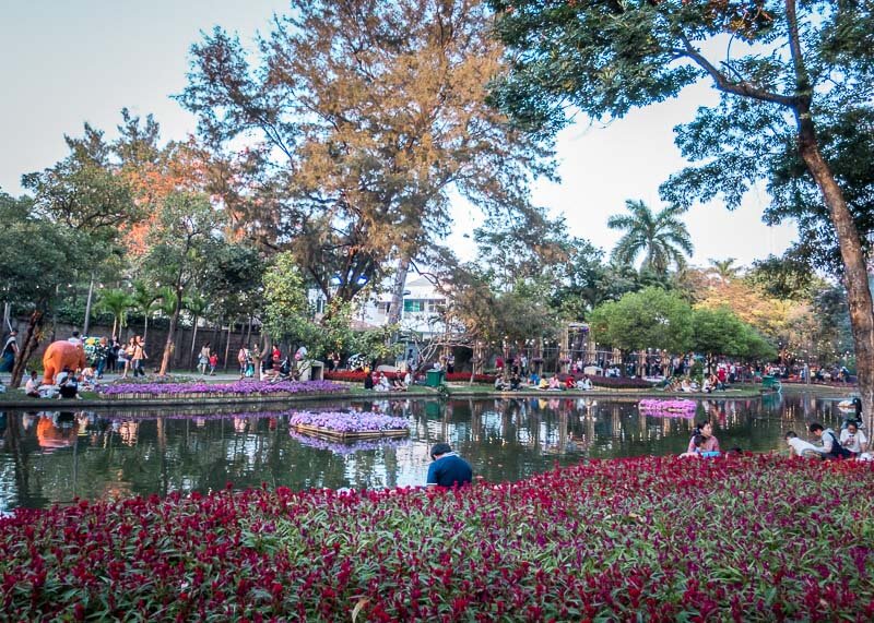 chiang mai flower festival - park