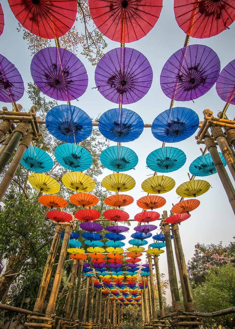 chiang mai flower festival - colourful umbrellas