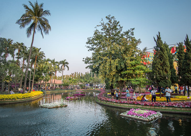 chiang mai flower festival - pond