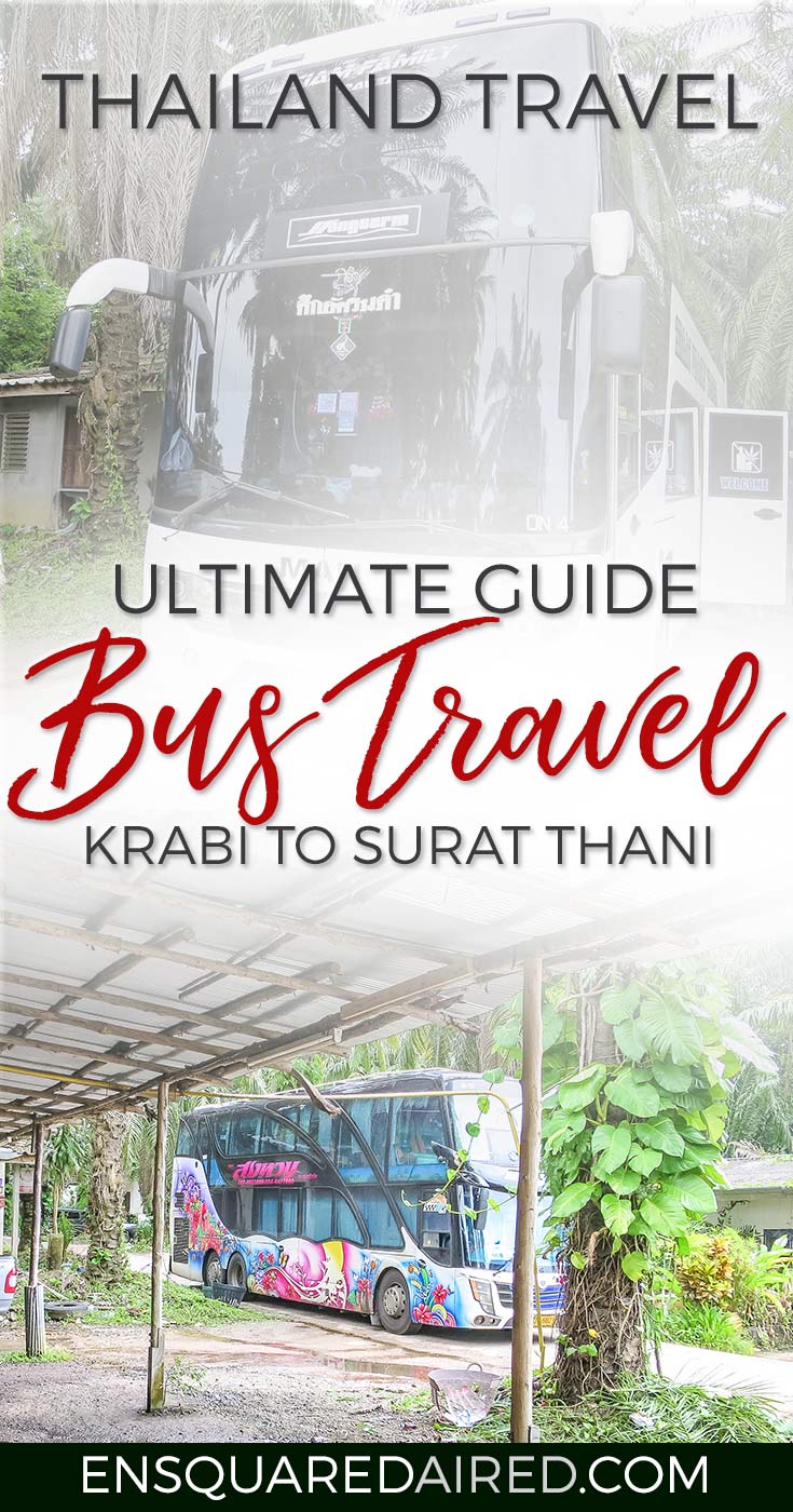 Why Bus From Krabi To Surat Thani Is The Best Option - pin